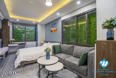 Stunning studio for rent in Hoan Kiem